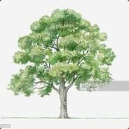 [PKT]cpmcarlinda's - Steam avatar