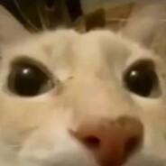 ZzzzZZzzzZz's Stream profile image