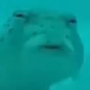 Feesh's - Steam avatar