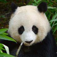 matixxfg's - Steam avatar