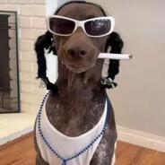 mr.Scoofsky's - Steam avatar