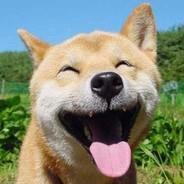 有感筆電's Stream profile image