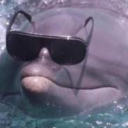 dopefish's Stream profile image