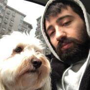 ercom3's Stream profile image