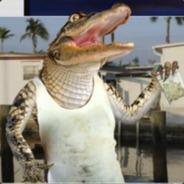 Alligator Meth Dealer's Stream profile image