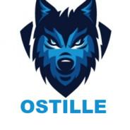 Ostille ツ's Stream profile image