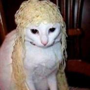Randal Wayne's Stream profile image