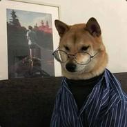 perrolocoV2.0's Stream profile image