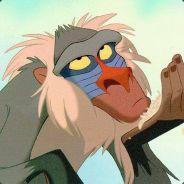 Rafiki's Stream profile image