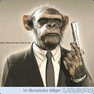 Phips's Stream profile image