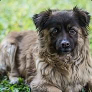 GJackson's Stream profile image