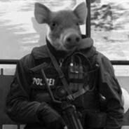 OfficerSchwien's Stream profile image