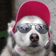 Yorik's Stream profile image