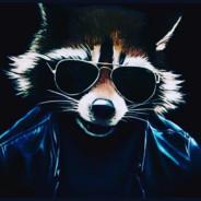 transfaalbaas's Stream profile image