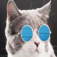 Sugni Le Magnifique's Stream profile image