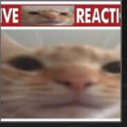 Wombat_111's Stream profile image