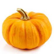 |URA|PumpkinPete's Stream profile image
