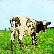 MUERCIEGALO ௹'s Stream profile image