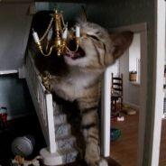 GeorgeChungus's Stream profile image