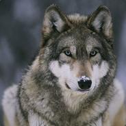 Dtolgay's - Steam avatar
