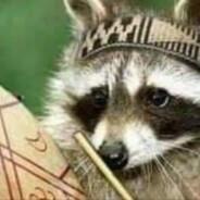 Mapache Mapuche's - Steam avatar