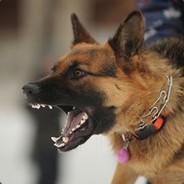 CrazyJoeinSJ's Stream profile image