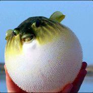 ^4schnitz's Stream profile image