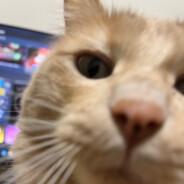 Zax's Stream profile image
