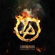 Mirties's Stream profile image