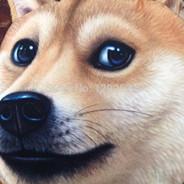 Billycode's Stream profile image