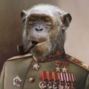 ShruggedUser's Stream profile image