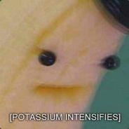TesterBot's Stream profile image