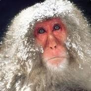 Makak's Stream profile image