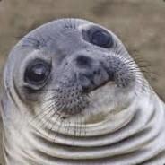 Bibi's Stream profile image