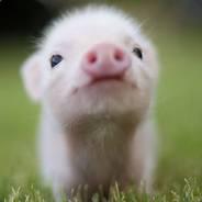 TremoMX's Stream profile image