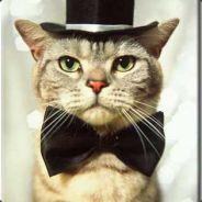 Enax's - Steam avatar