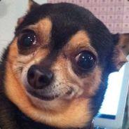 Assanae's - Steam avatar