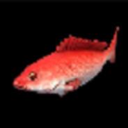 Red Snapper's - Steam avatar