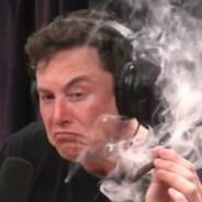 God Emperor DOGE Lord Elon Musk's Stream profile image
