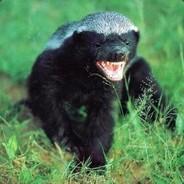 MacroSk's Stream profile image