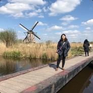 Angela Fu's Stream profile image