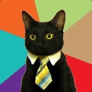 damojed's Stream profile image