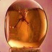 moo deng's Stream profile image