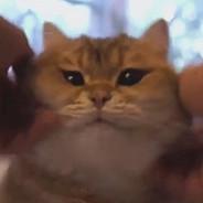 Sogomn's Stream profile image