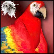 Makker's Stream profile image