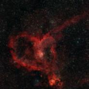 tearz4beers's Stream profile image
