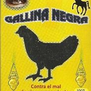 Mane Galinha's Stream profile image