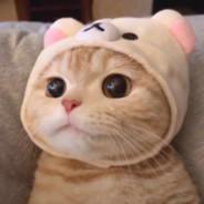 小强's Stream profile image