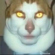 F 6's Stream profile image