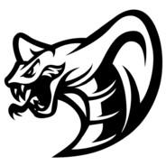 Cobra's Stream profile image
